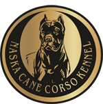 Naska Cane Corso